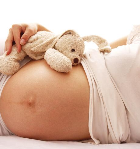 Schwangerschaftsbauch mit Kuscheltier