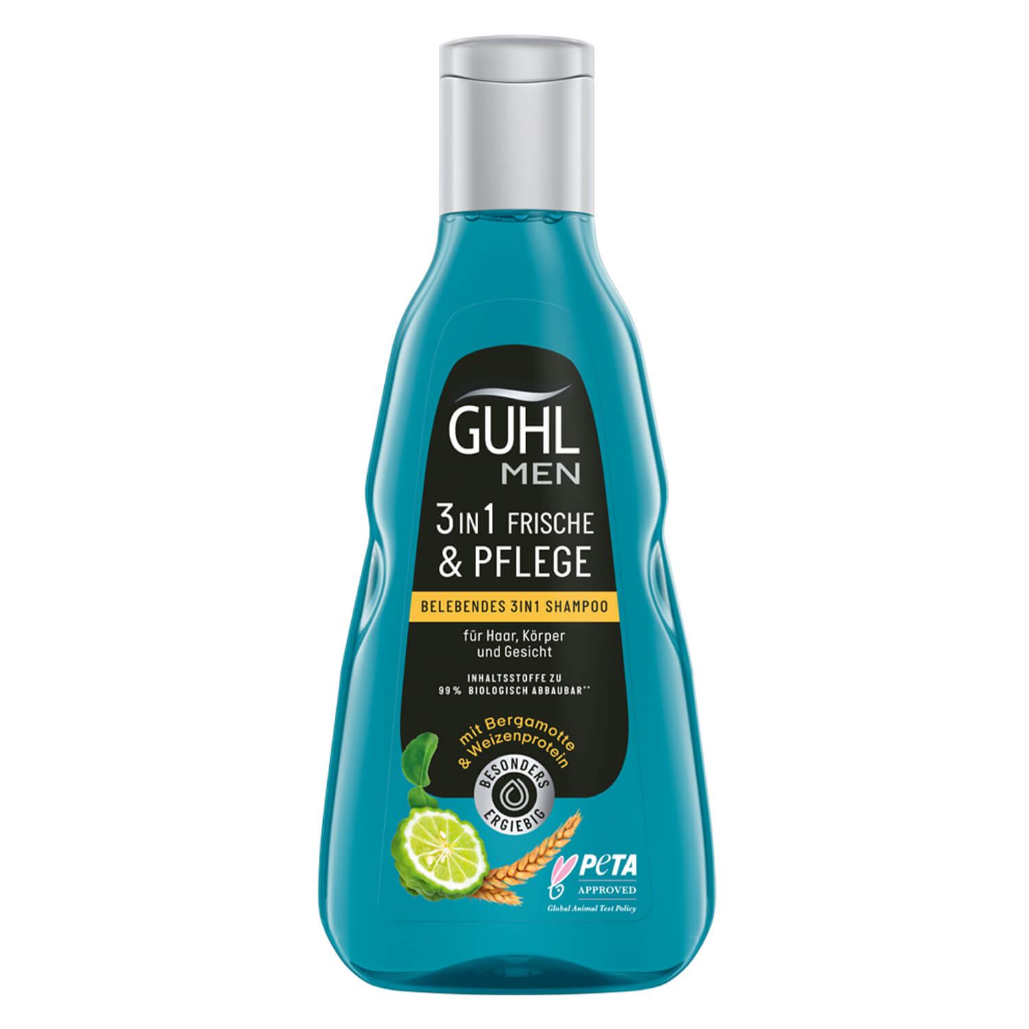 GUHL - MEN FRESHNESS & CARE Invigorating 3in1 Shampoo