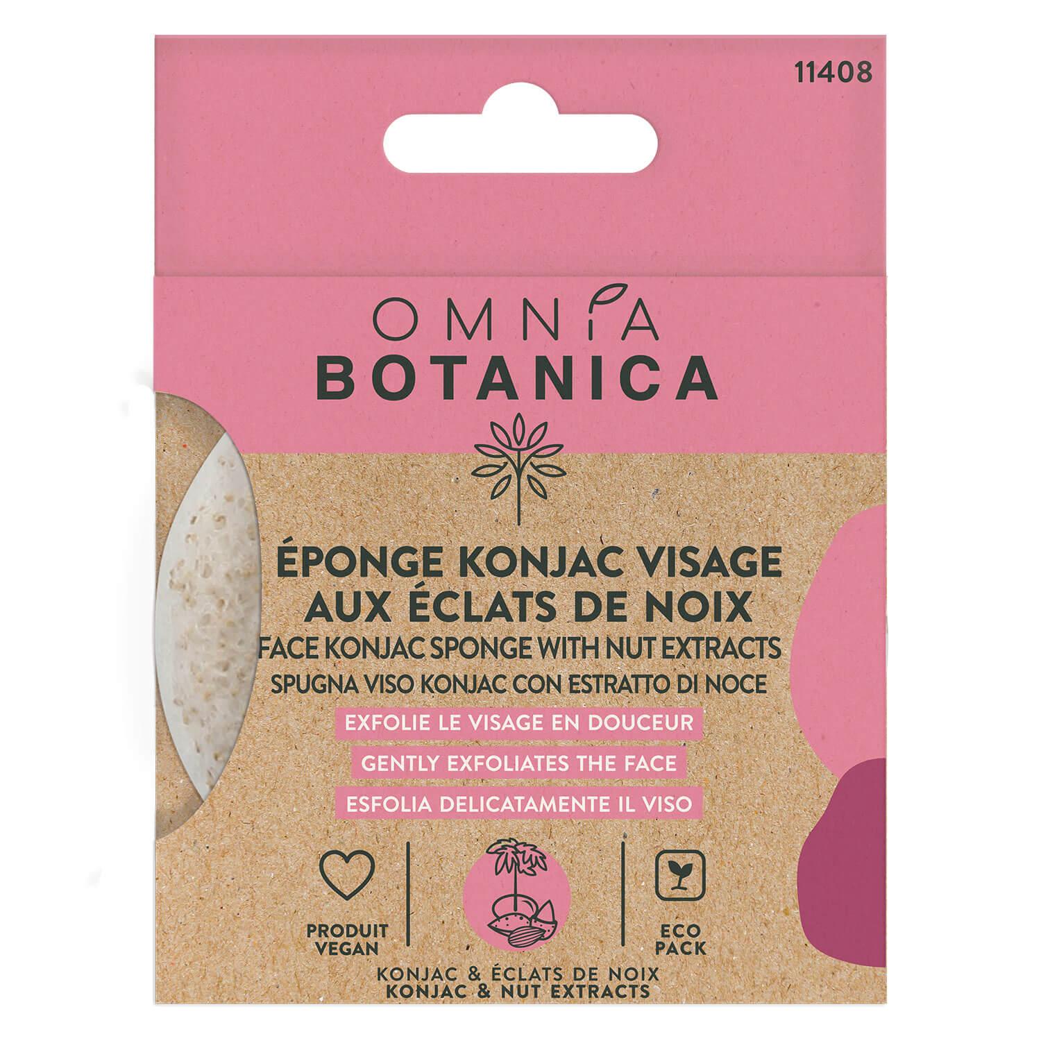 OMNIA BOTANICA - Konjac face sponge with nut extracts 