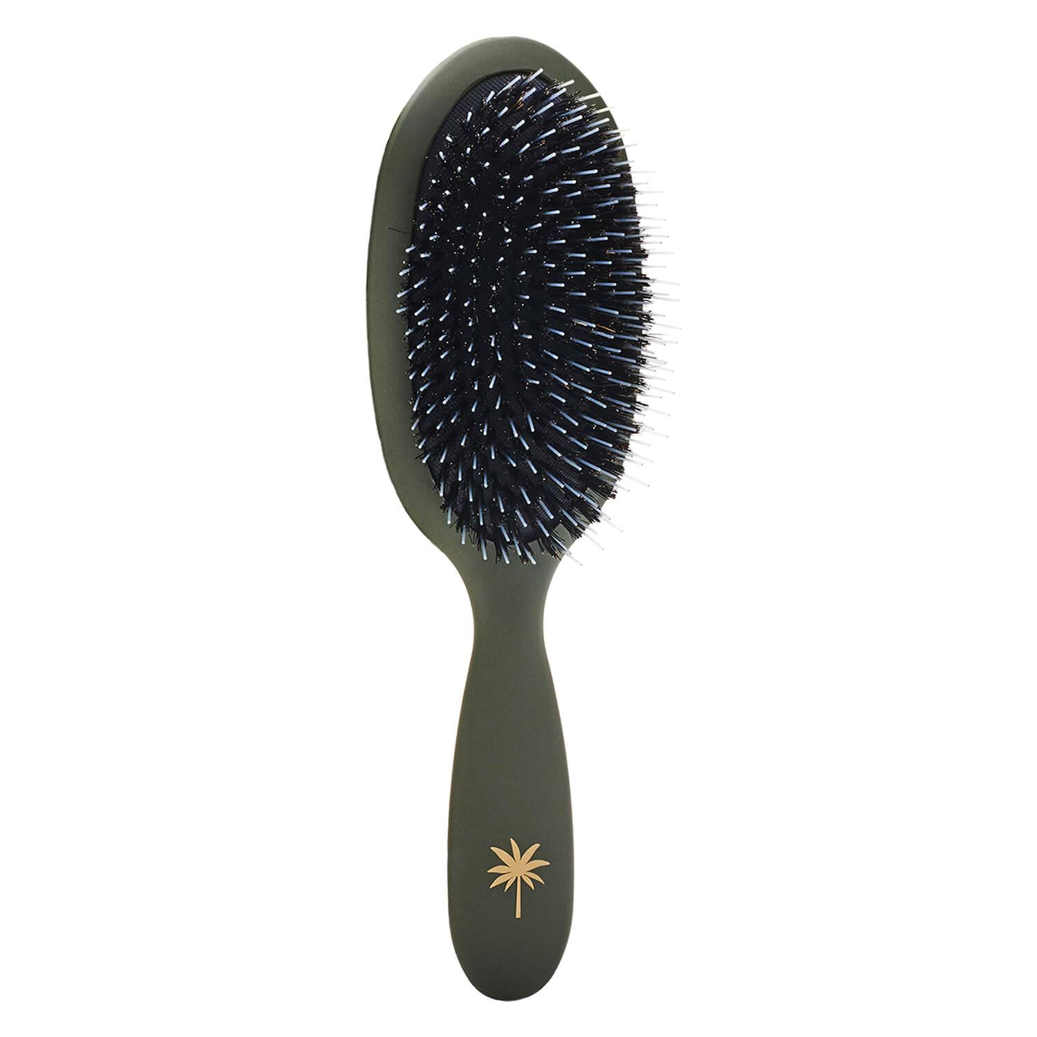 Fan Palm - Hair Brush Medium Jungle