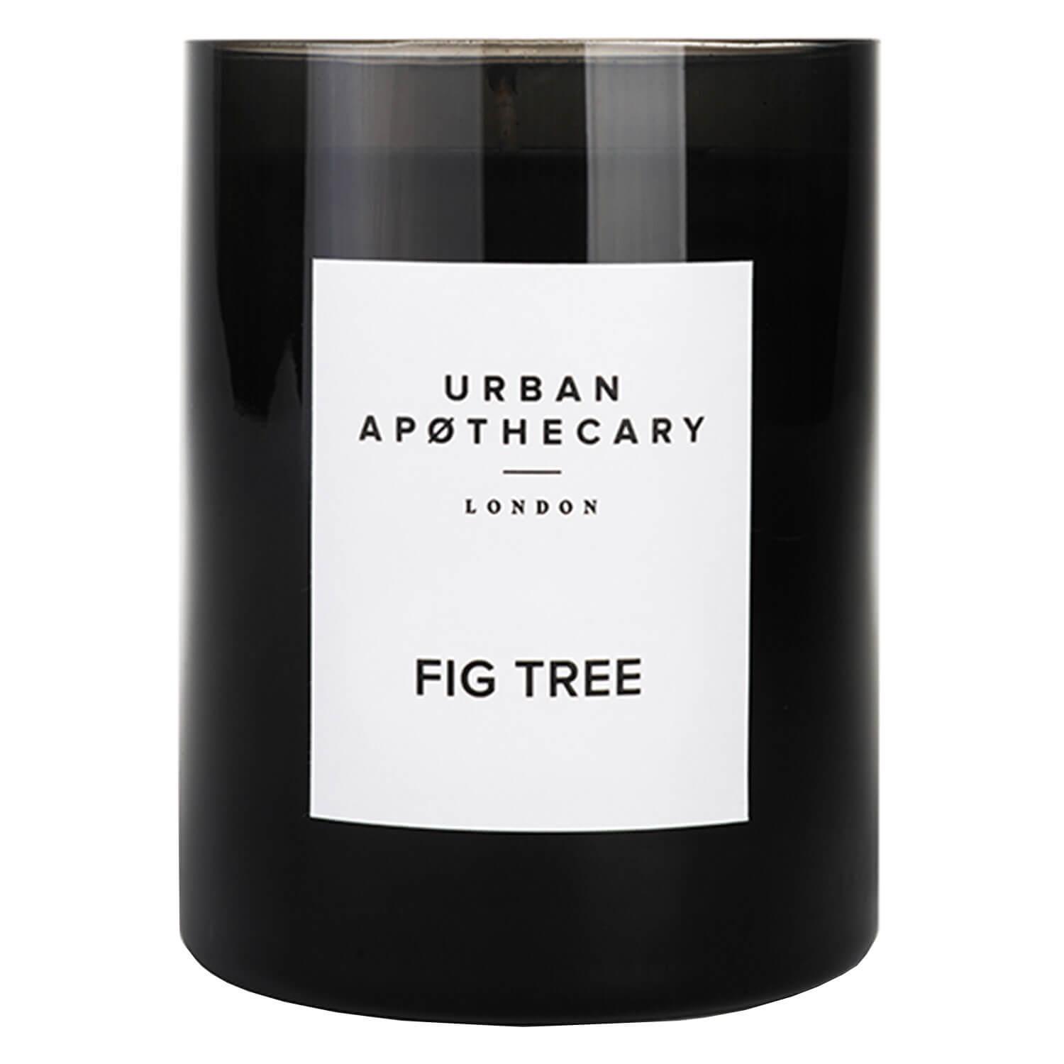 Urban Apothecary - Luxury Boxed Glass Candle Fig Tree