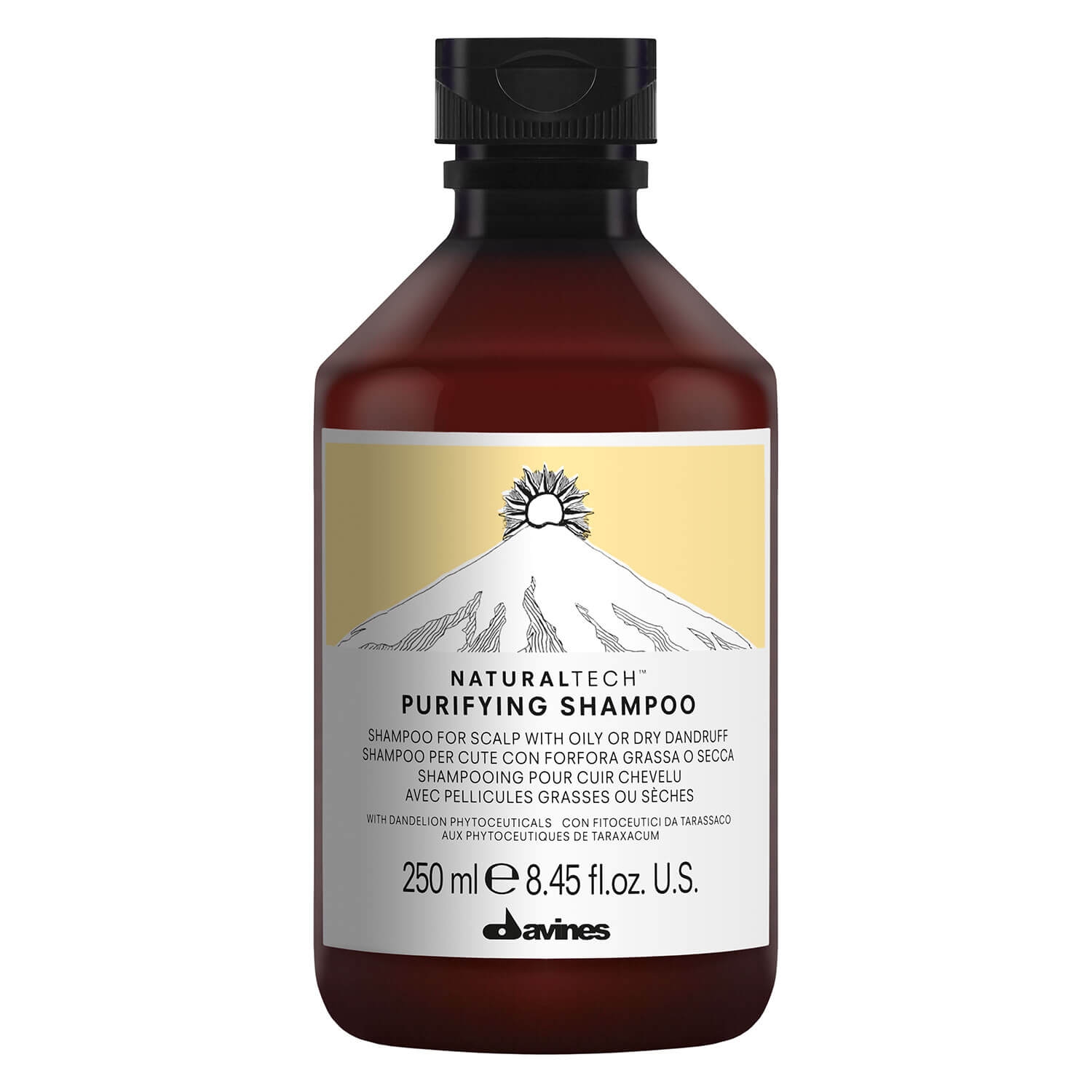 Product image from Naturaltech - Purifying Shampoo