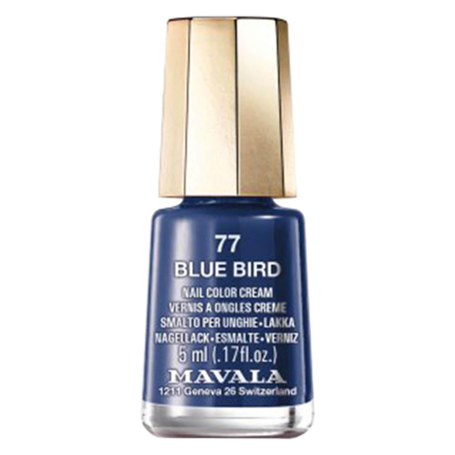 Mini Color's - Blue Bird 77