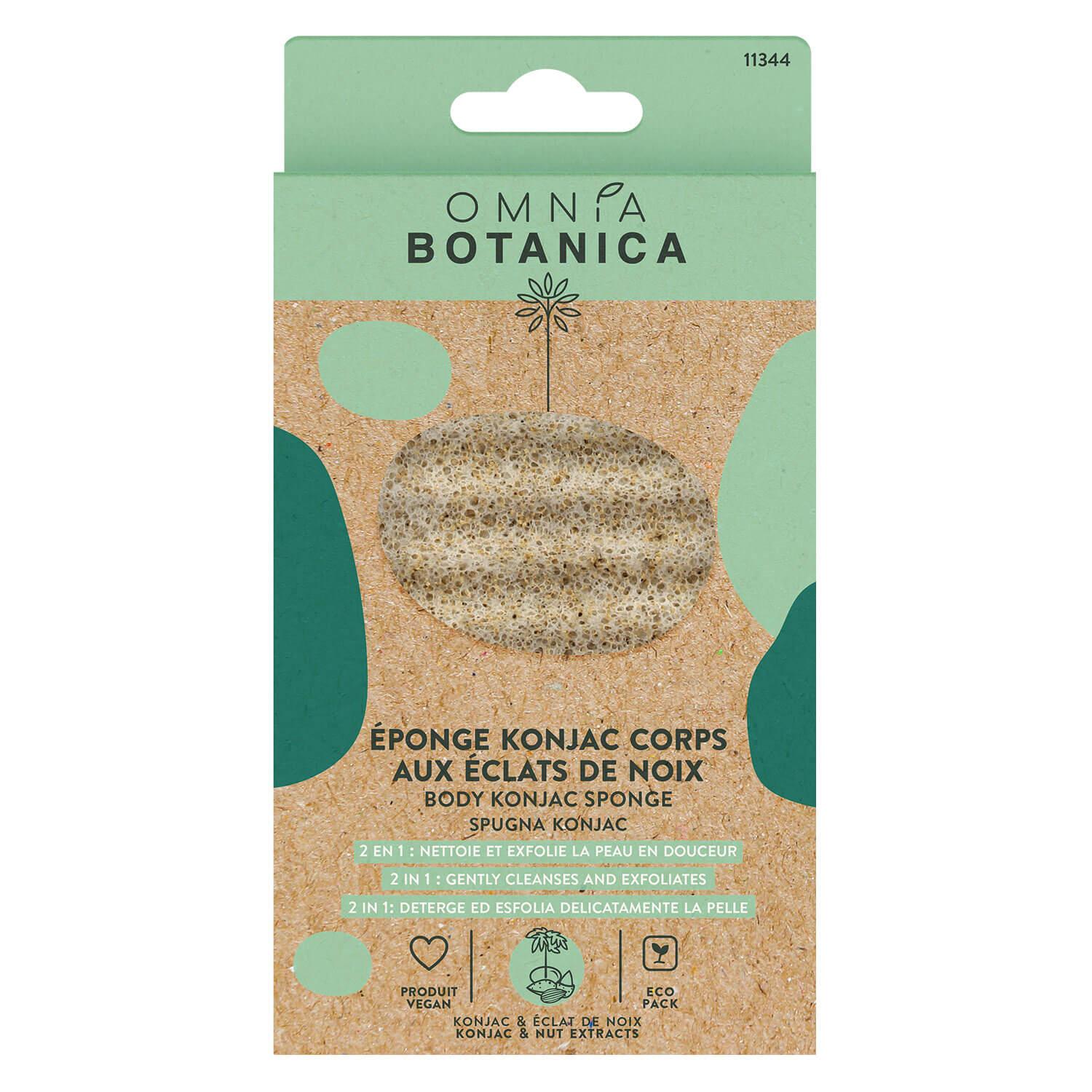 OMNIA BOTANICA - Konjac body sponge with nut extracts